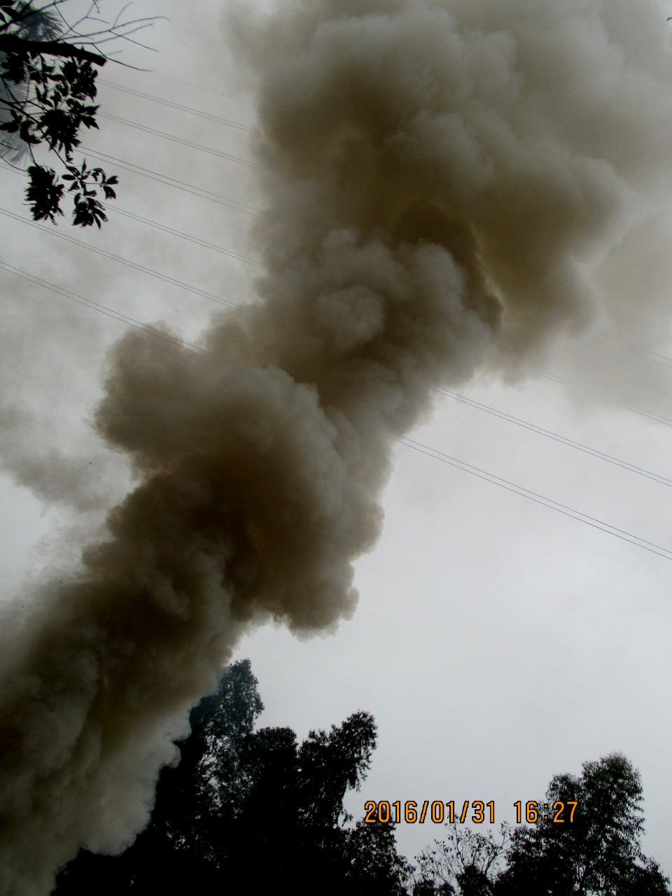 发个烟烟帖,熏死毛毛虫!