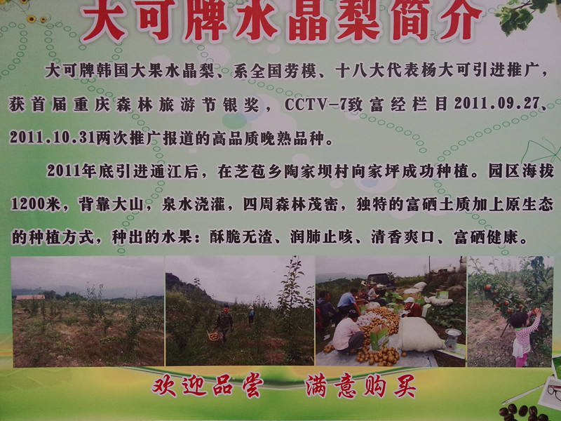 113359lzssppypnno22wqp.jpg