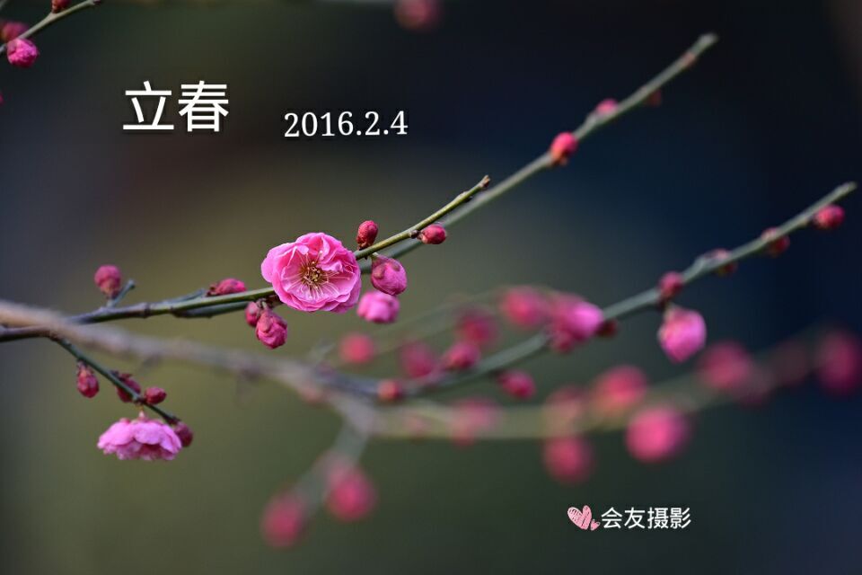 QQͼƬ20160204091409.jpg