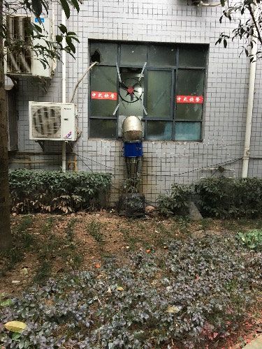 image.jpeg