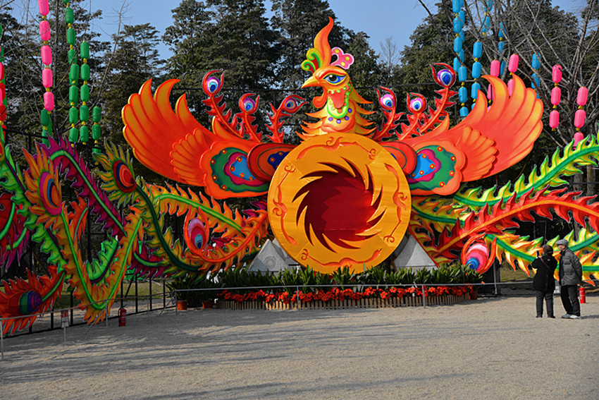 金沙遗址百花盛开,张灯结彩迎接新春