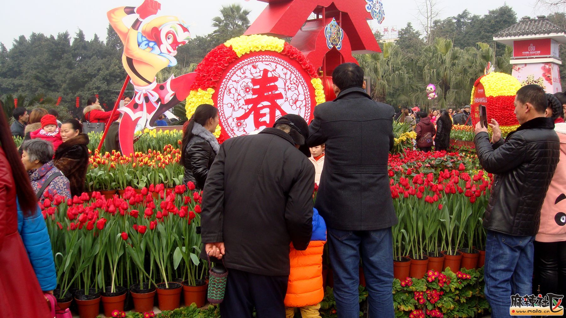 DSC03572_.jpg