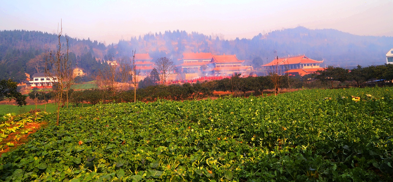 正月初一村民大联欢----南部县玉镇乡正觉寺村第14届春节文演掠影
