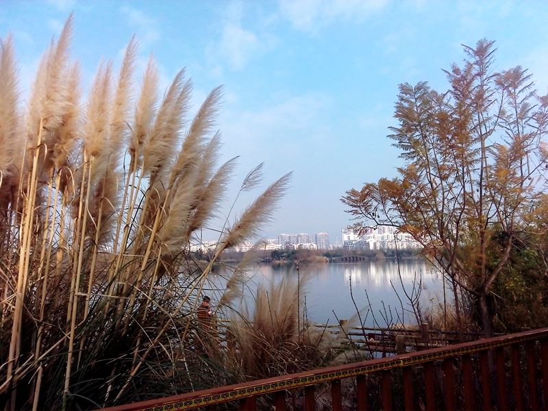 IMG_20160208_104219.jpg
