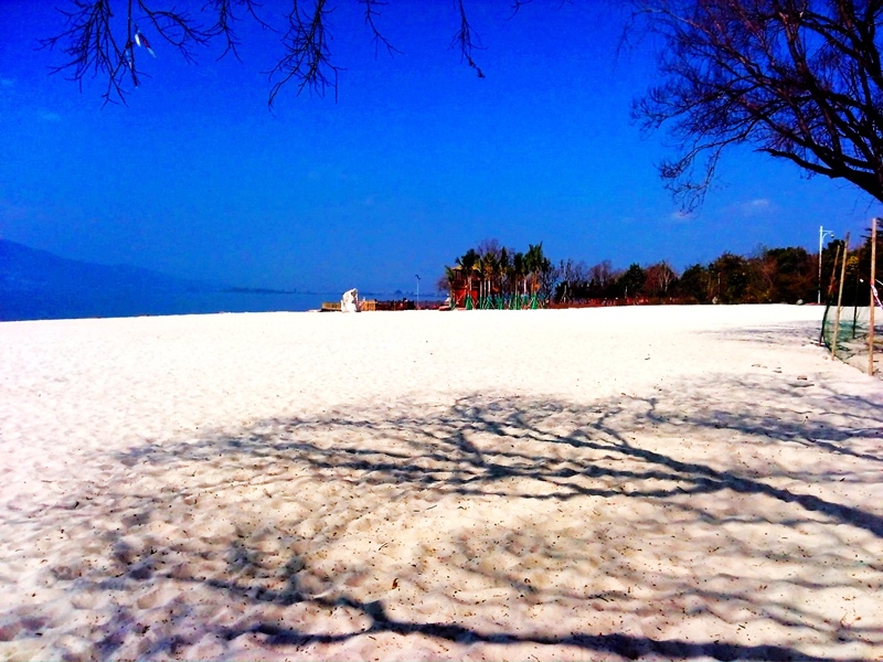 IMG_20160209_130144.jpg