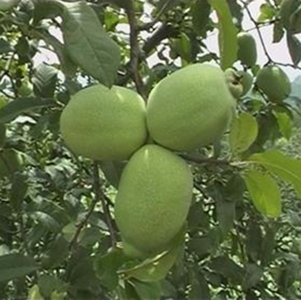 ľ1.jpg