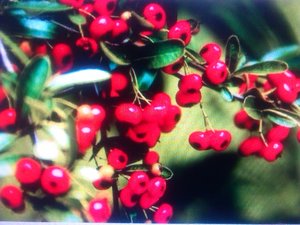 2610_66424671525_24b7edf391044523e3ead32e80ba208f.jpeg