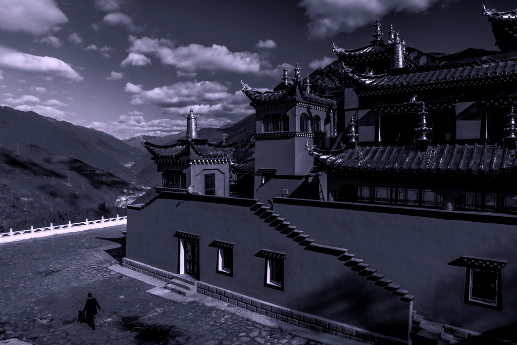 _DSC0713.gif