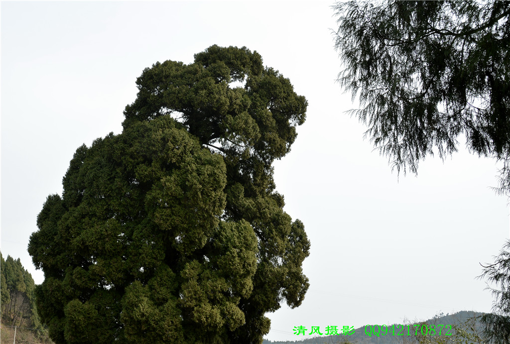 ZXC_1058_.jpg