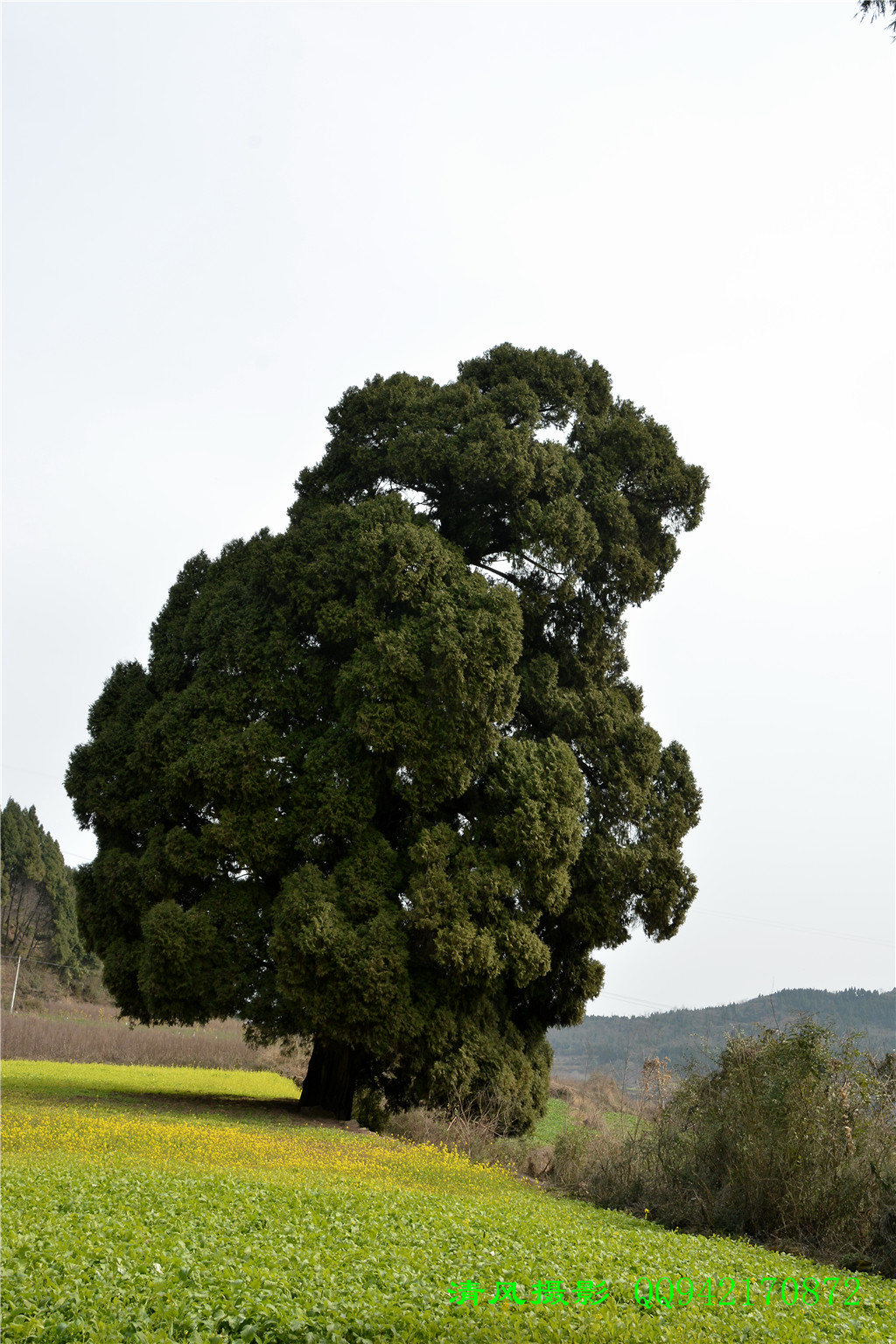 ZXC_1060_.jpg