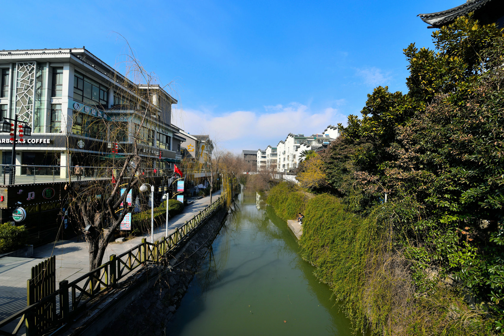 DSC_5002.JPG