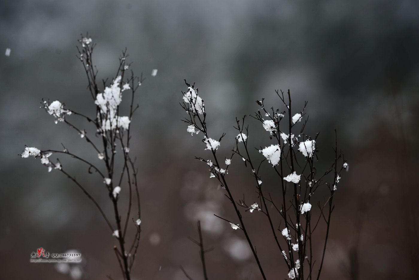 DSC_1020.jpg