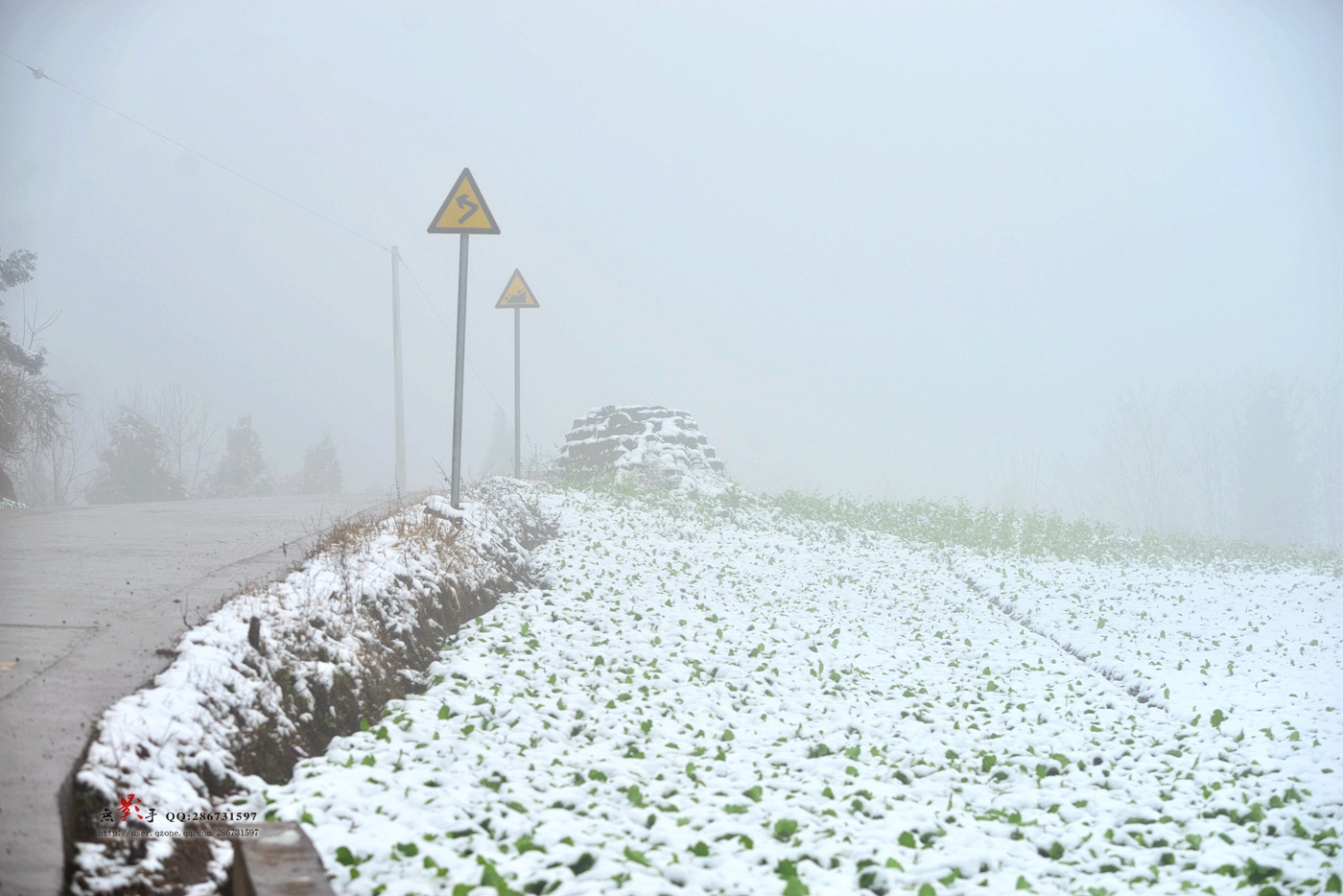 DSC_1047.jpg