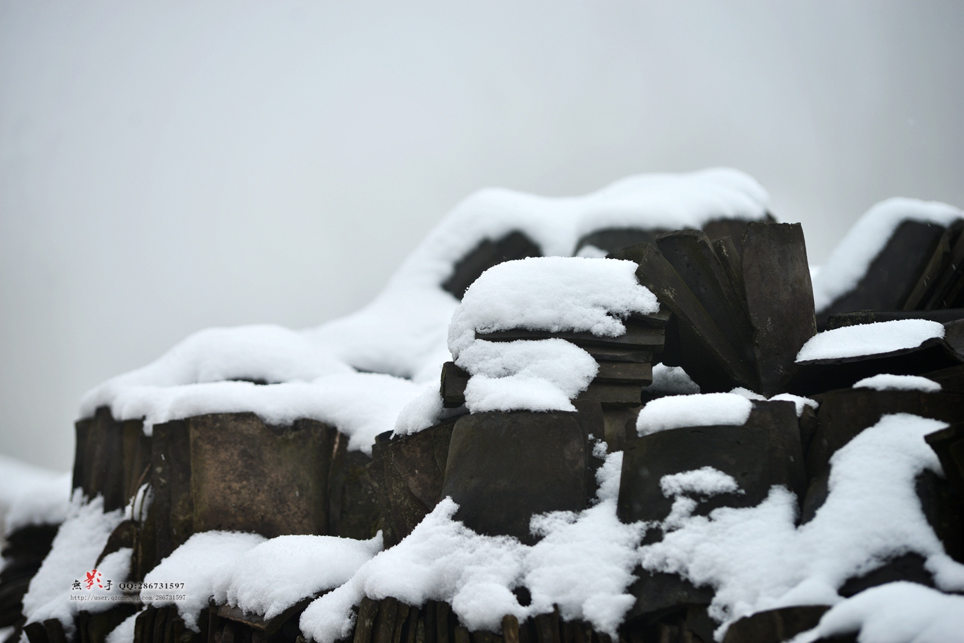 DSC_1061.jpg