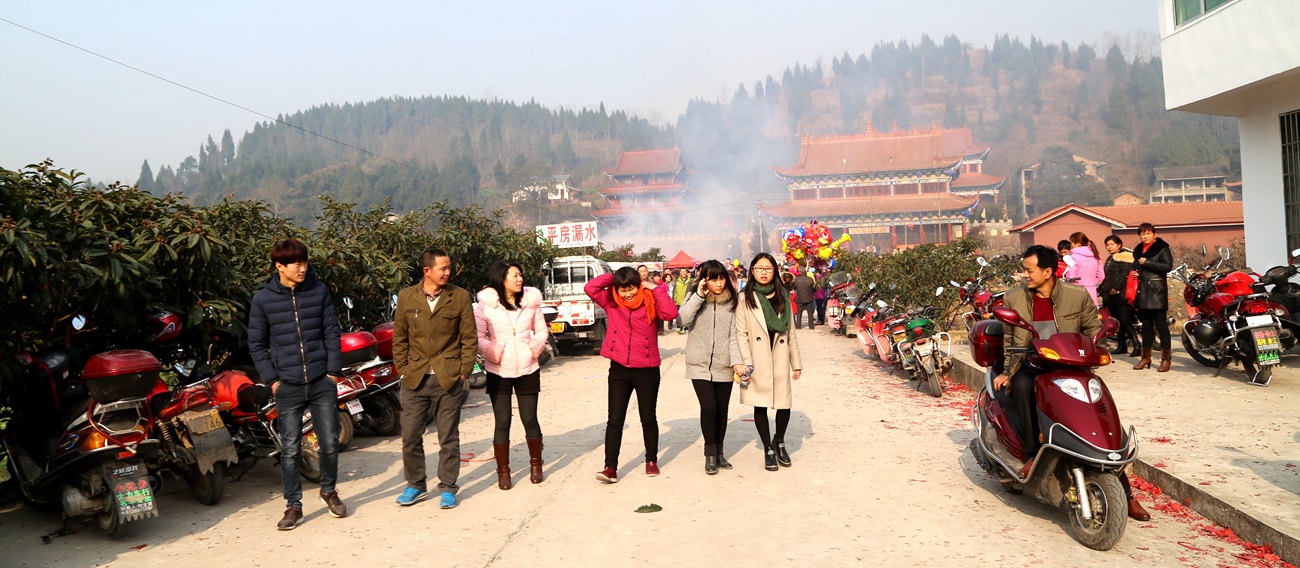 南部县正觉寺村图片