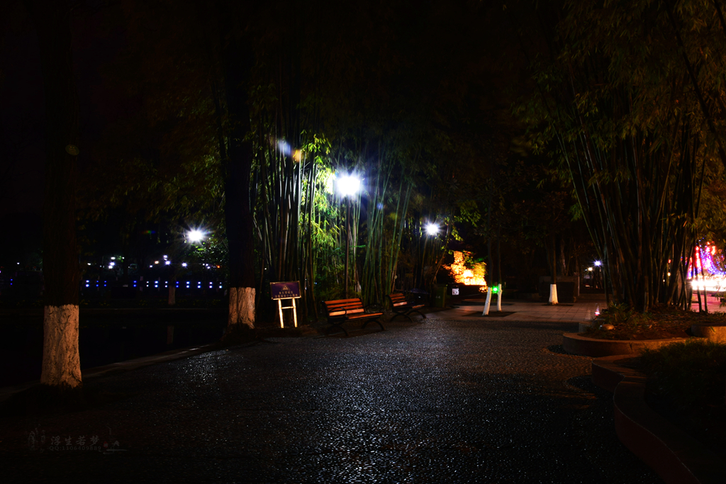 DSC_0204__.jpg