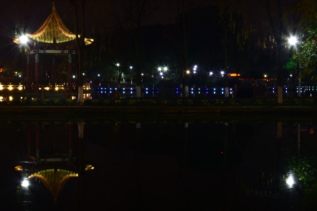 DSC_0206__.jpg