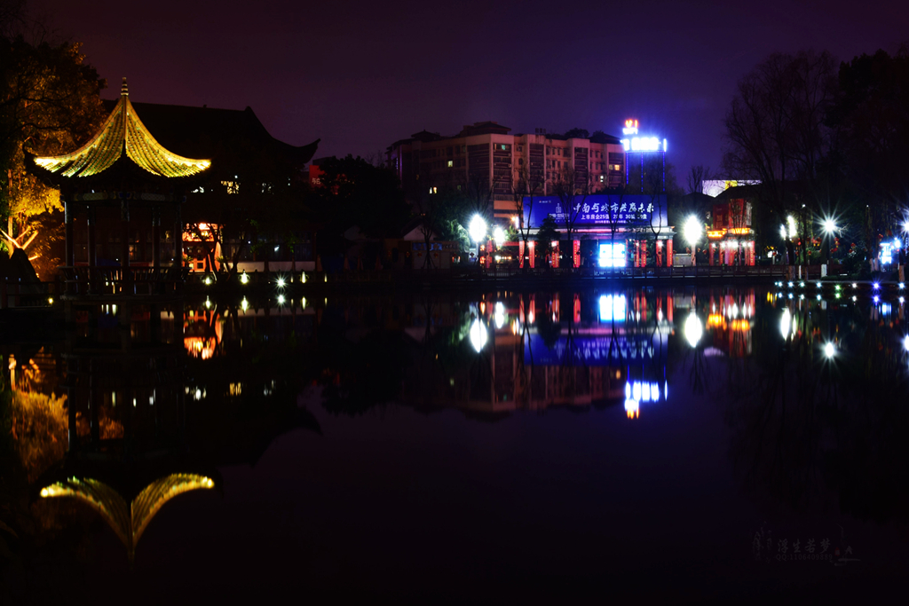 DSC_0216_887_.jpg