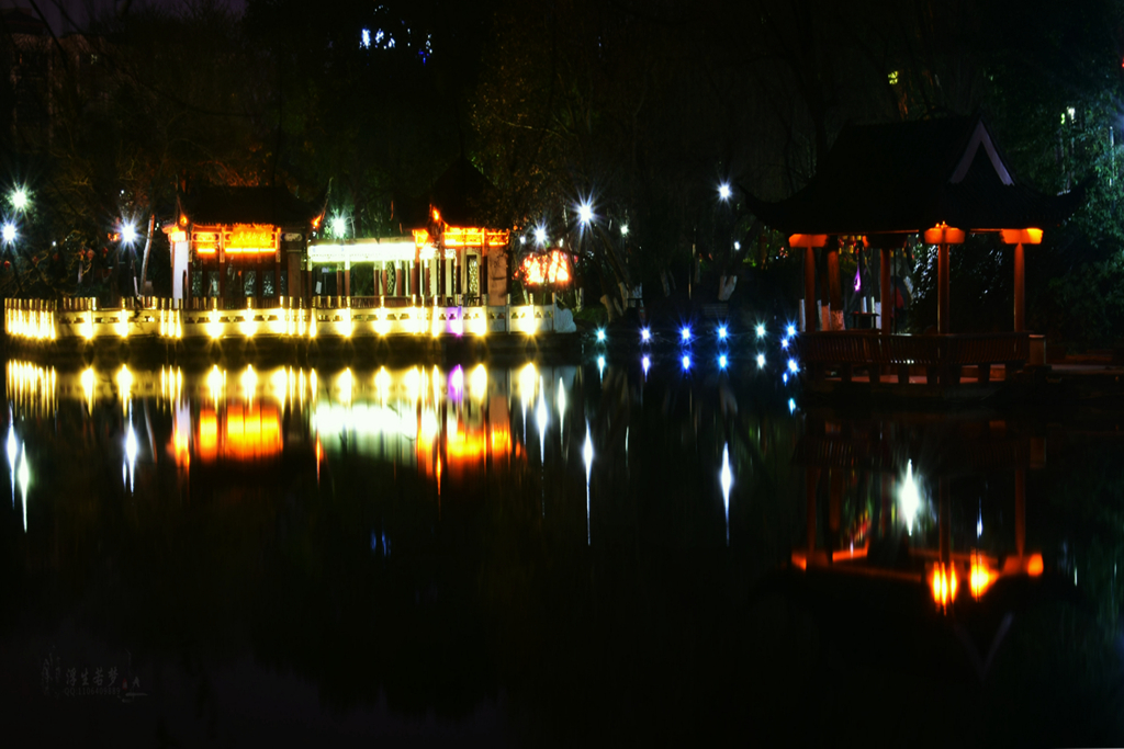 DSC_0219___.jpg