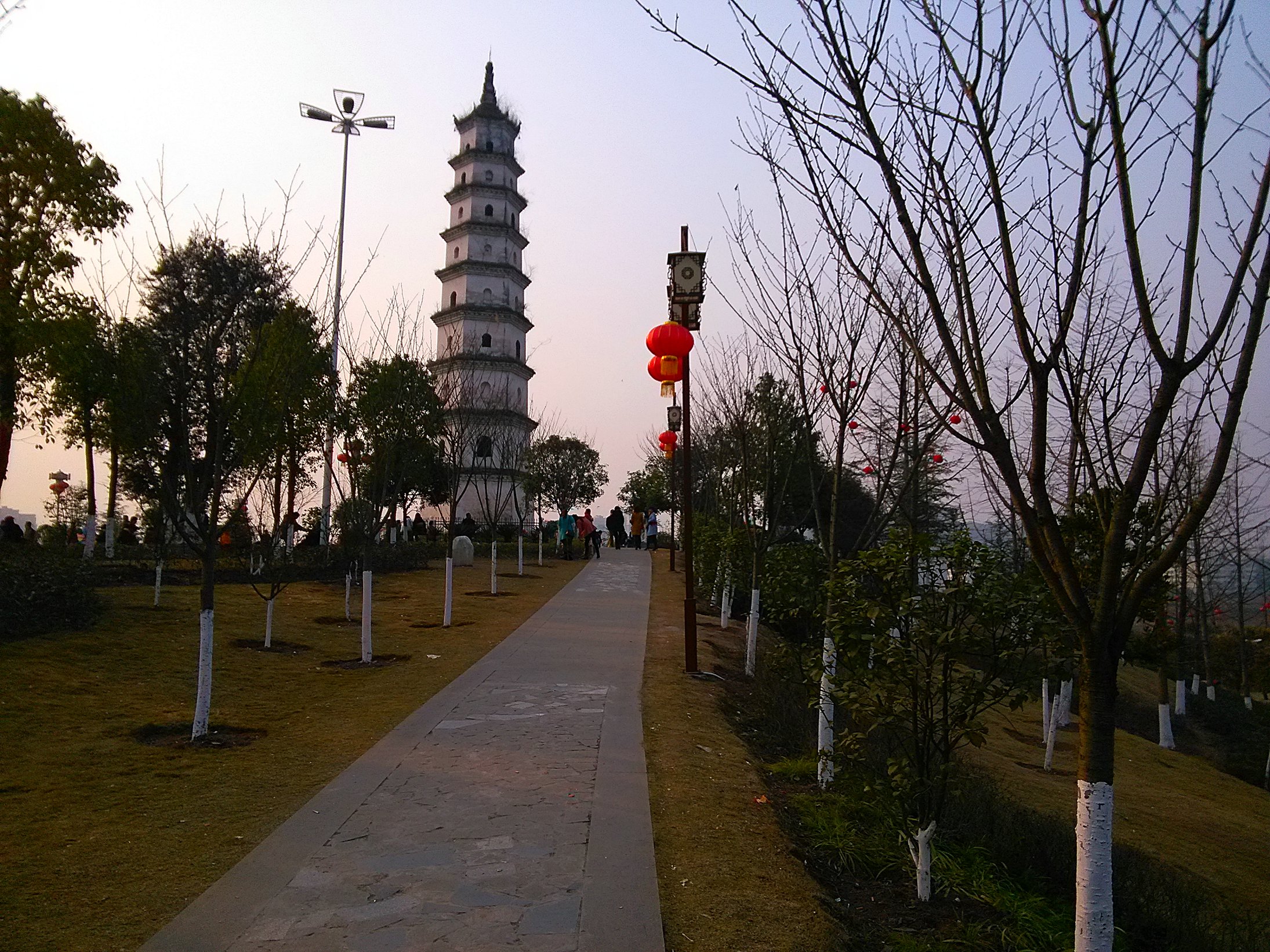 IMG_20160210_165244.jpg