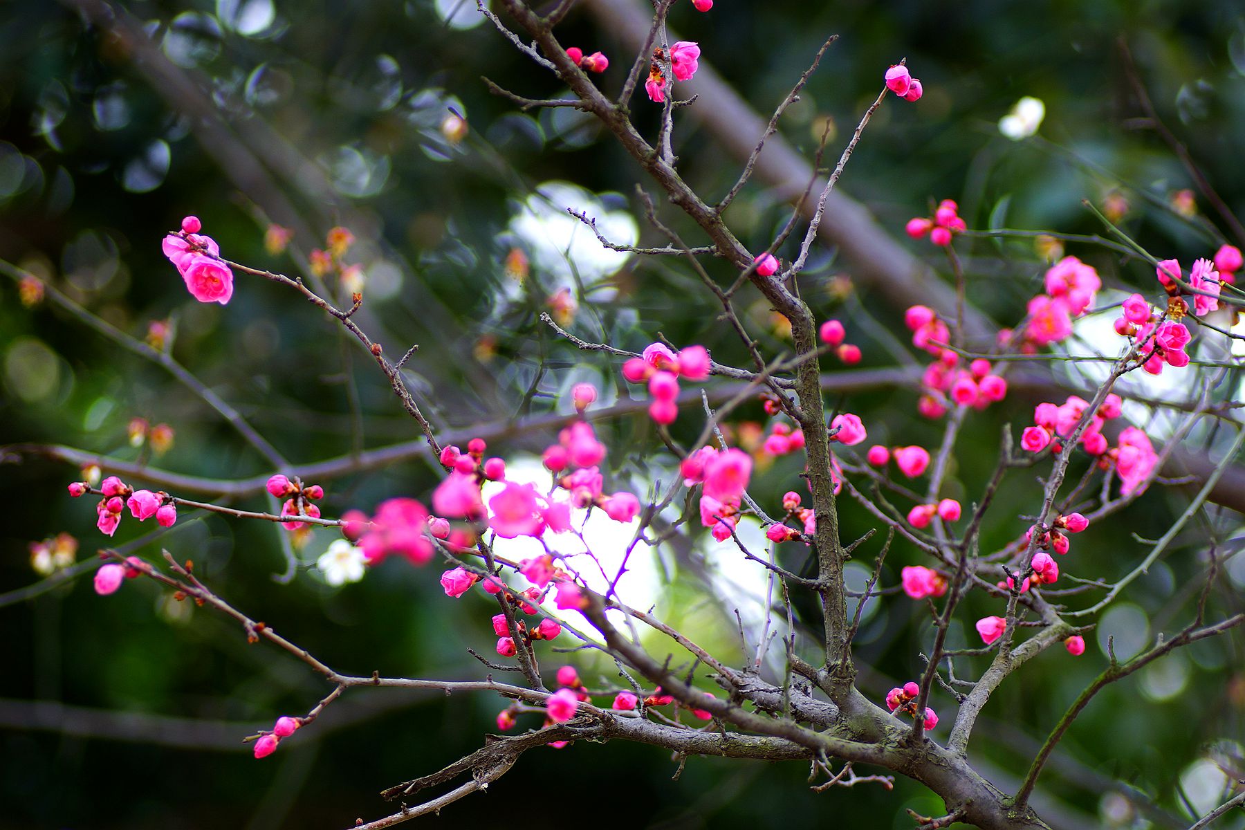DSC05127_.jpg