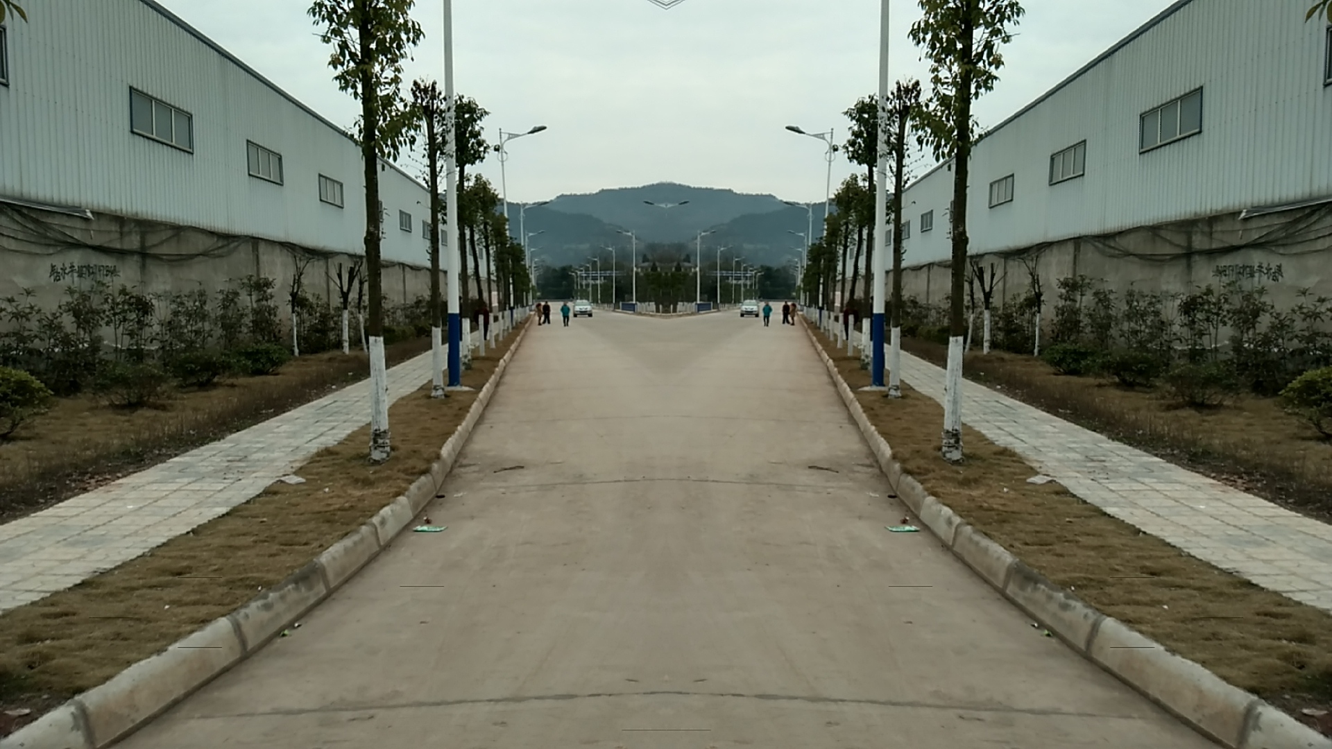 IMG_20160217_173542_HDR.jpg