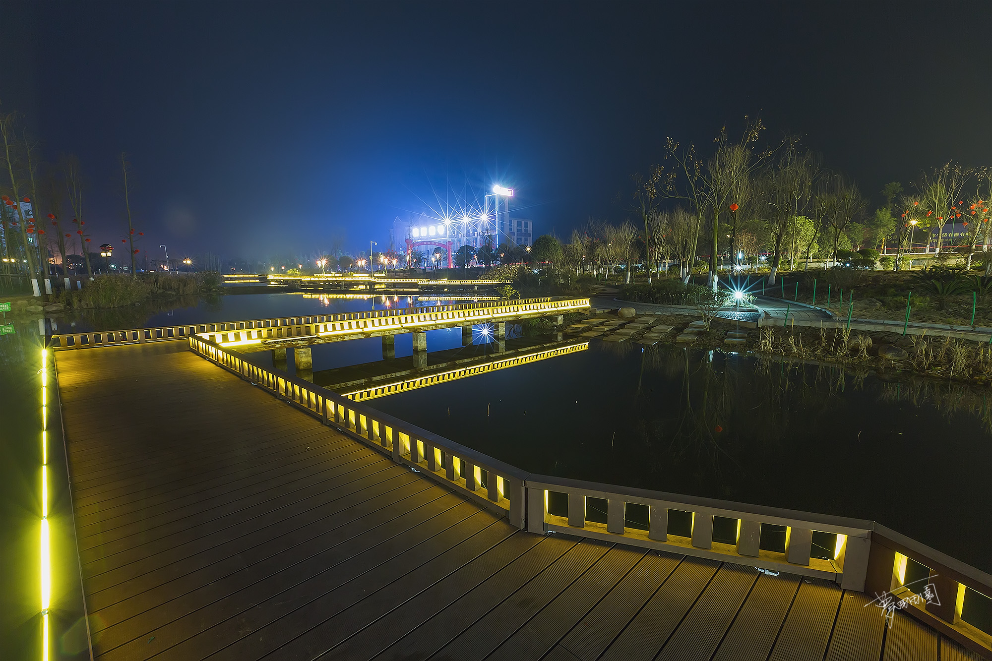 奉化仁湖公园夜景图片