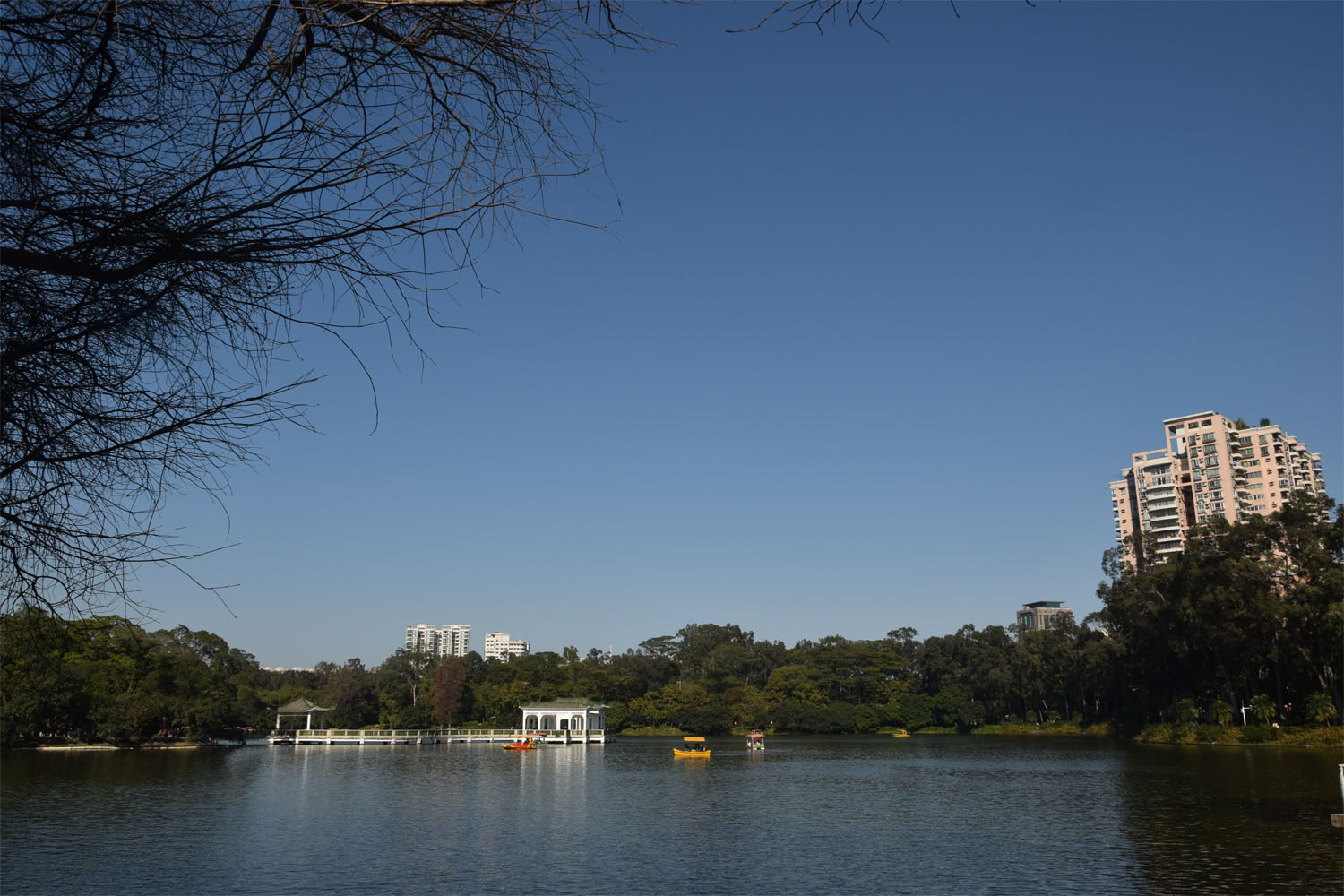 δ1_0003_DSC_0354.JPG.jpg