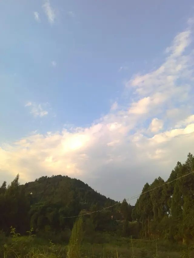 image.jpeg