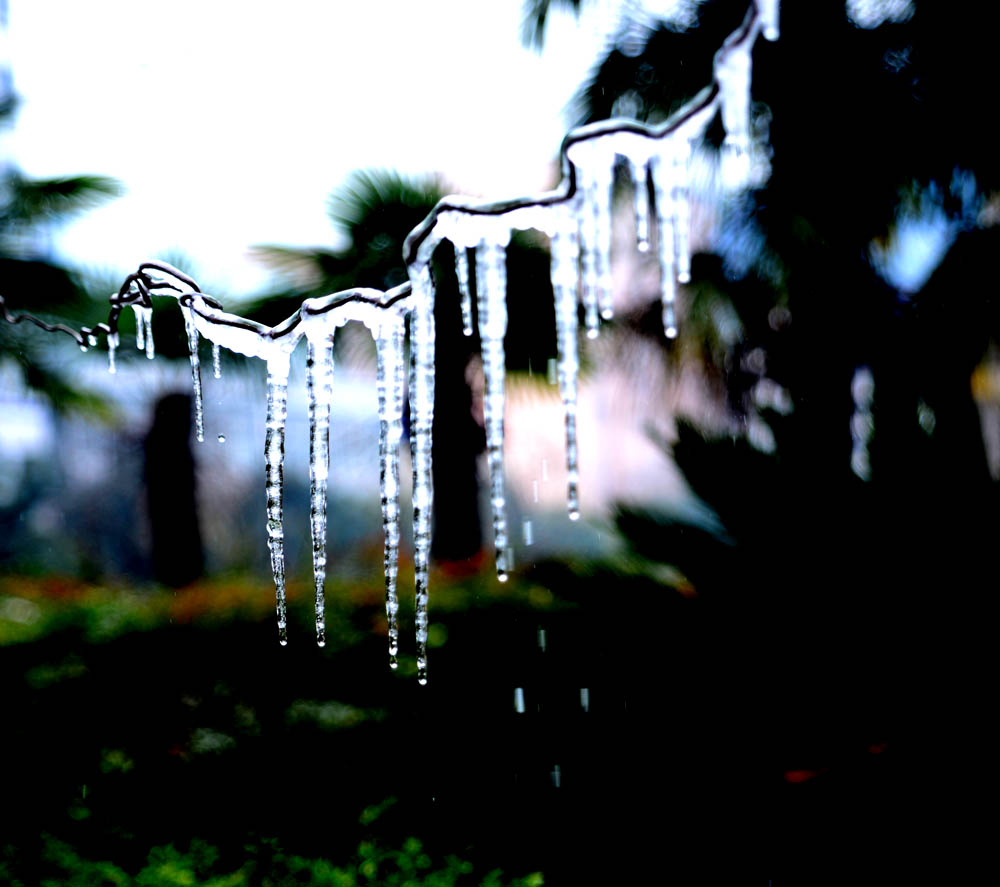 DSC_6482.JPG