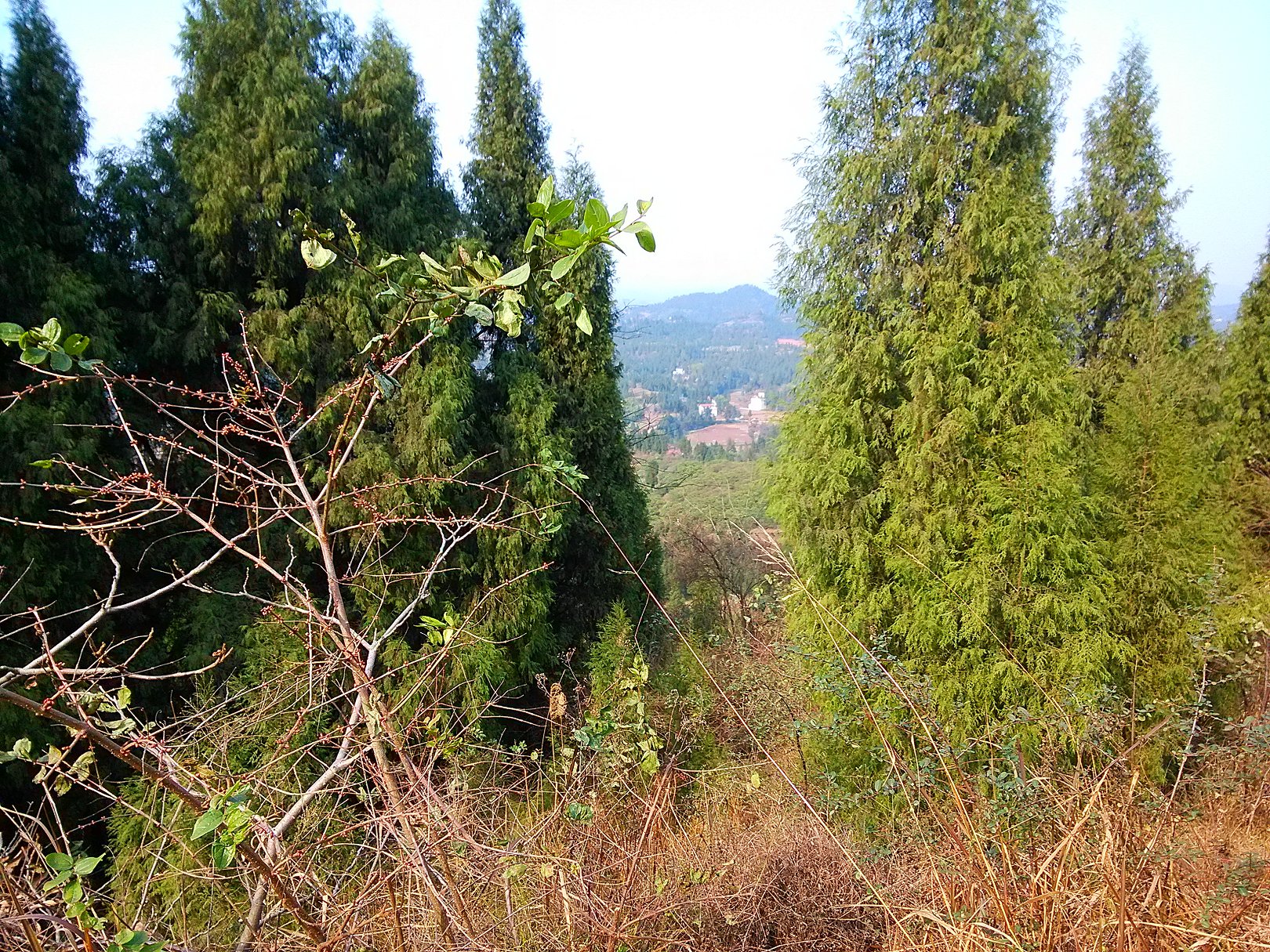 IMG_20160125_145728.jpg