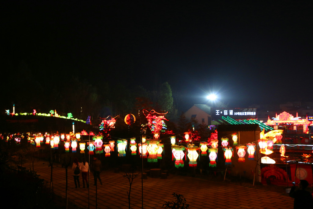 IMG_4771.JPG
