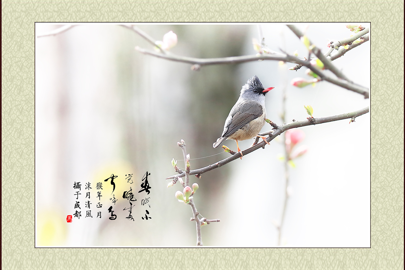 春眠不覺曉 處處聞啼鳥