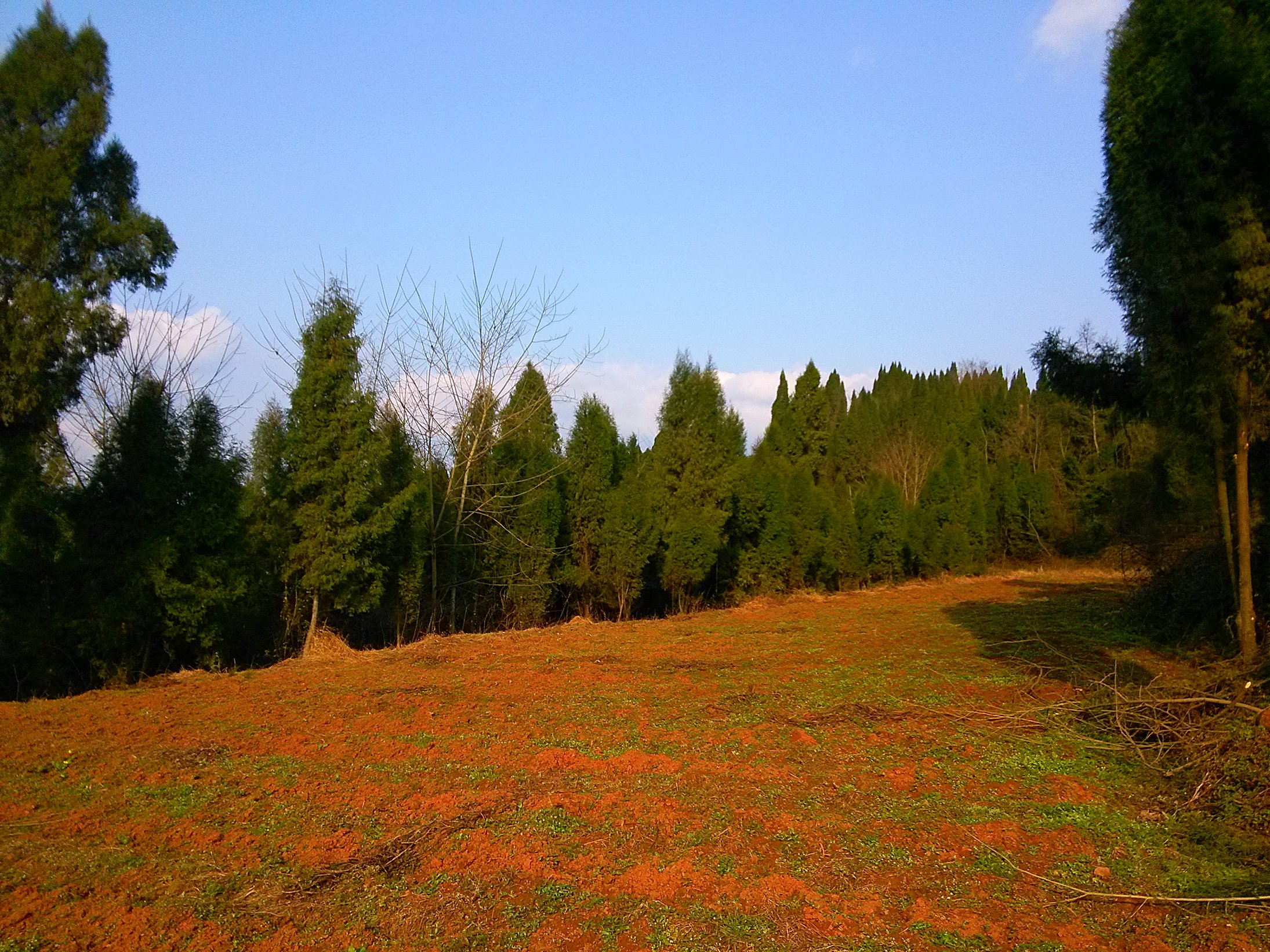 IMG_20160216_162650.jpg