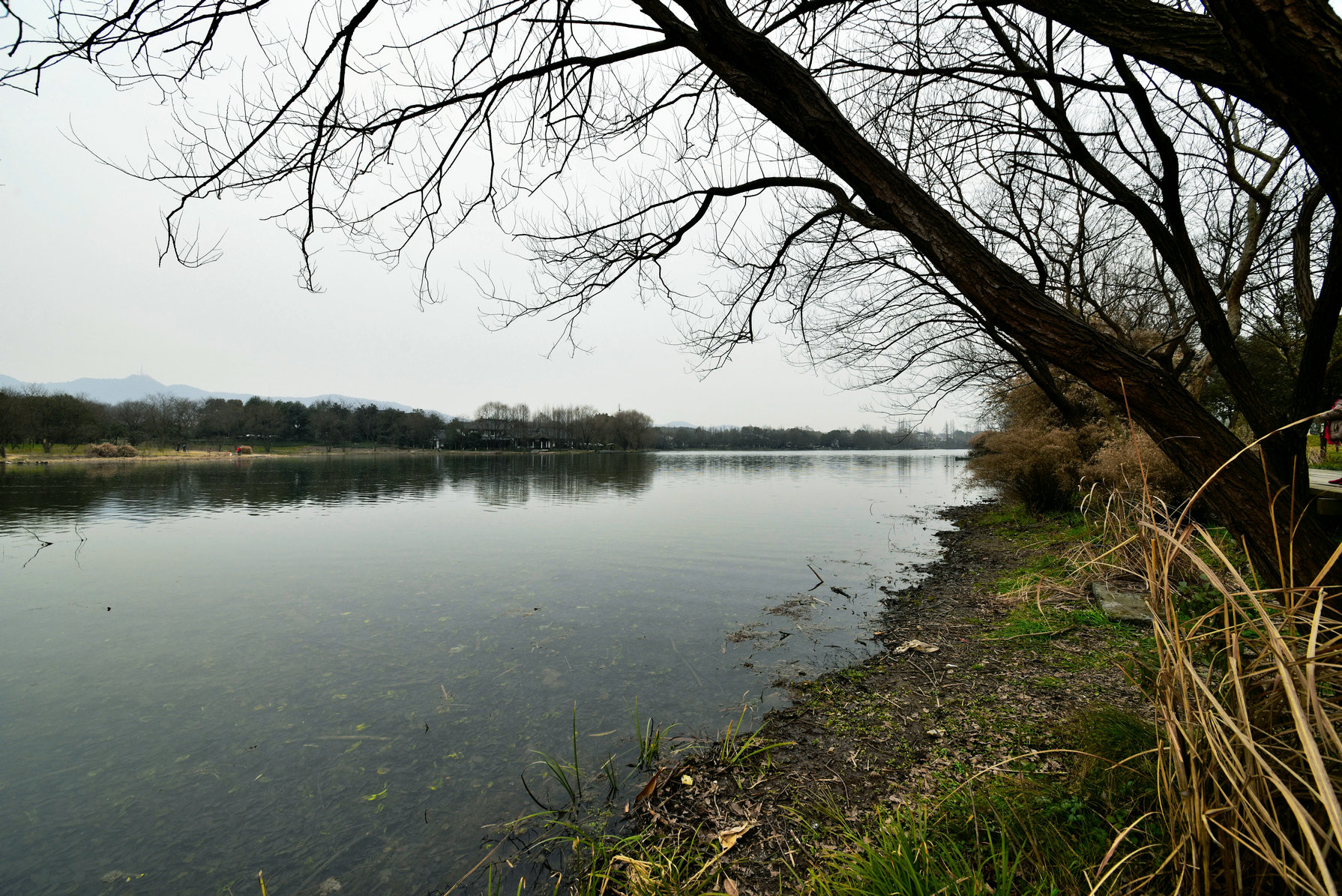 DSC_5167.JPG