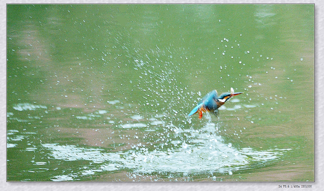 DSC_0075_.jpg