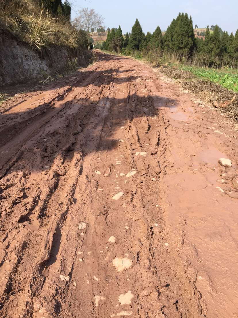 农村老路何时才能修