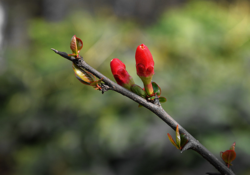DSC_0971_.jpg