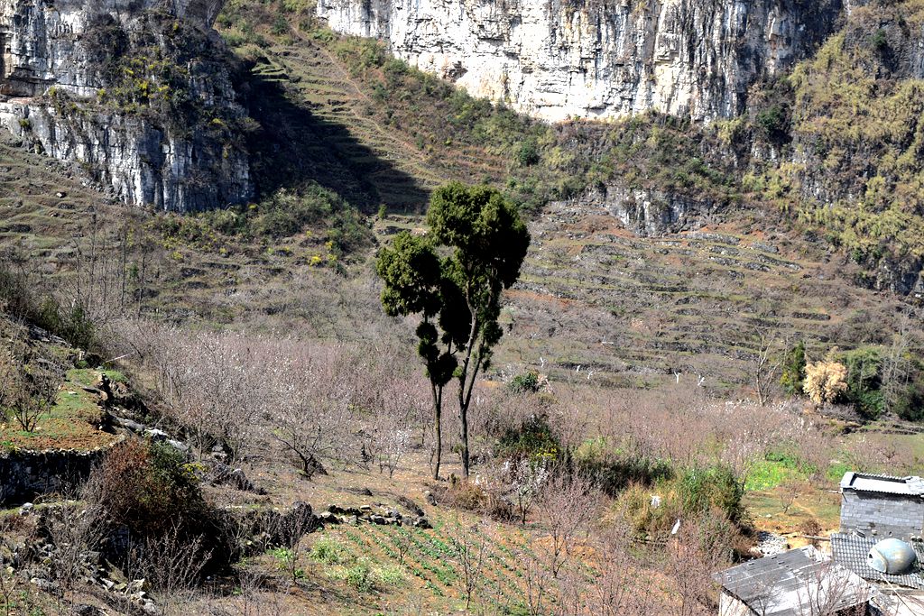 DSC_0082_.jpg
