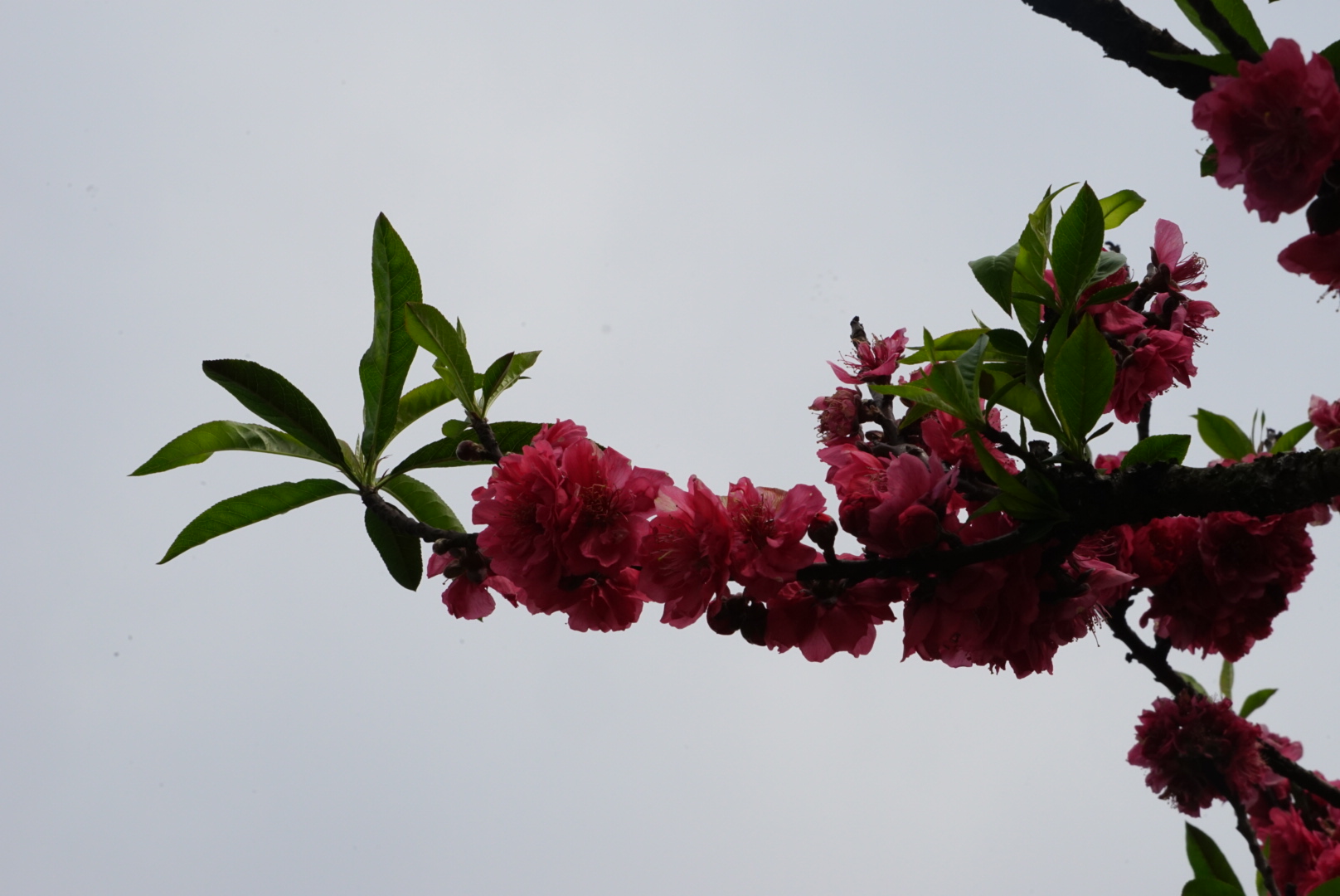 DSC09893.JPG