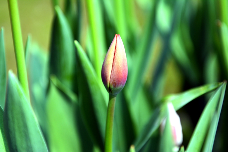 DSC_8737_.jpg