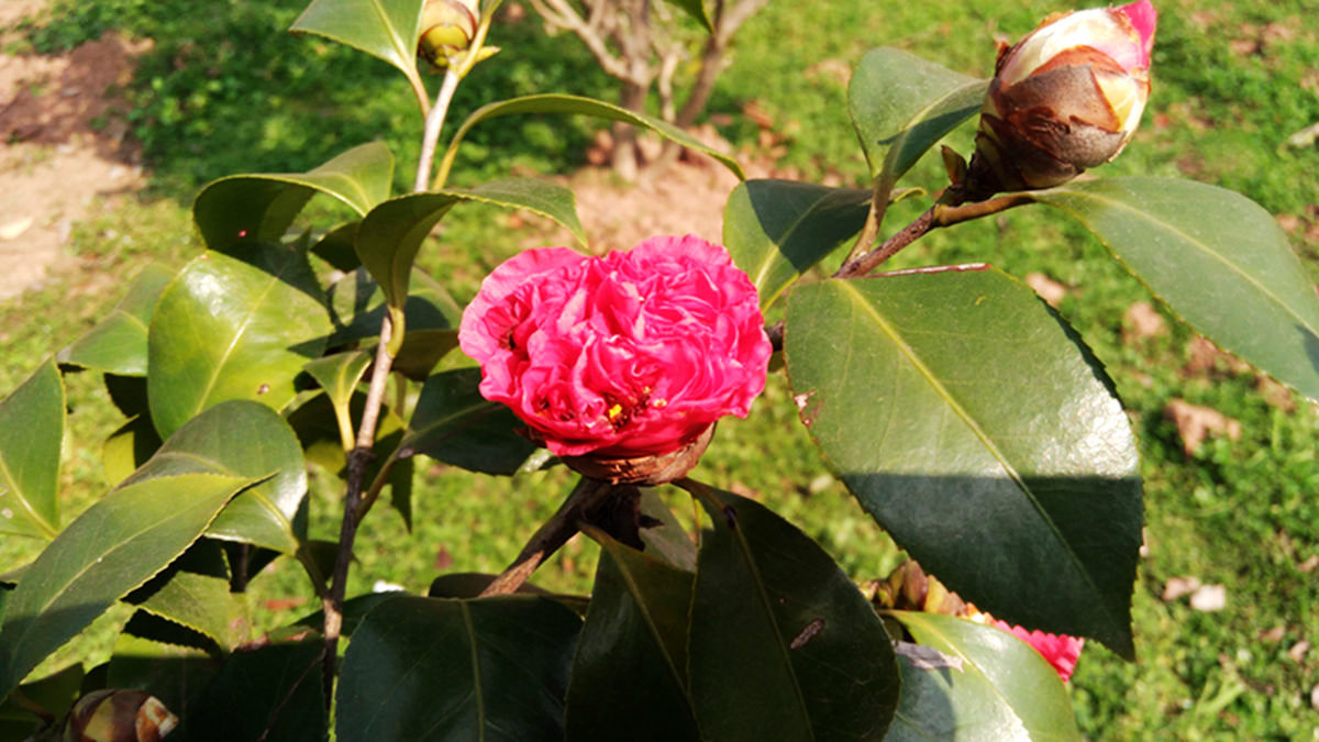 IMG_20160229_130207.jpg