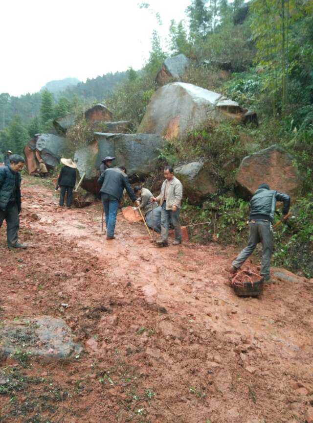 古蔺县桂花乡汉溪村3组公路概况(桂花乡已回复)