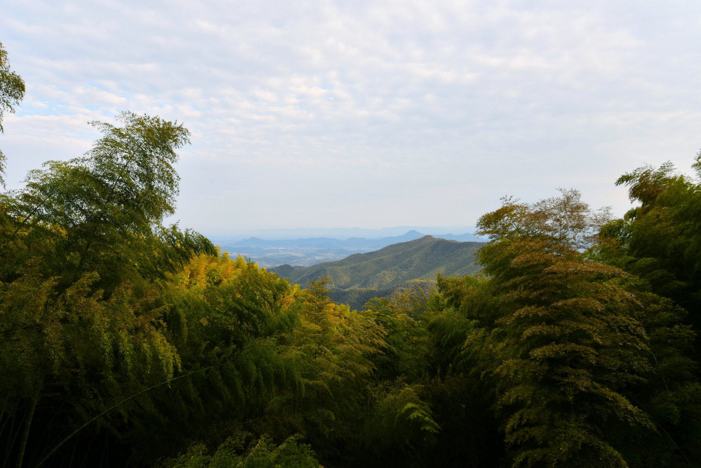DSC_5096.JPG