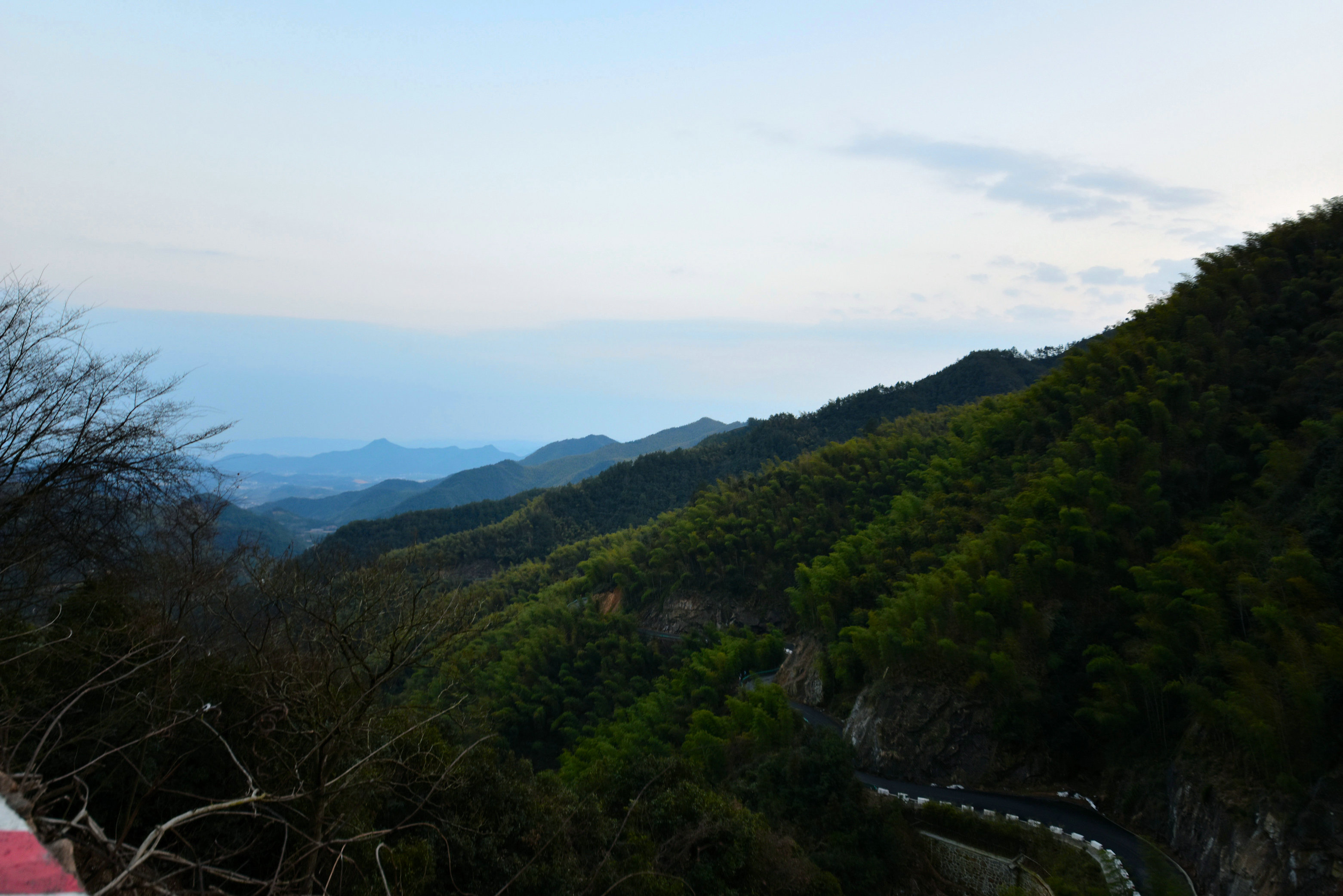 DSC_5132.JPG