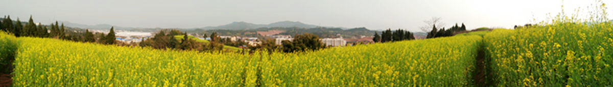 PANO_20160301_160155.jpg