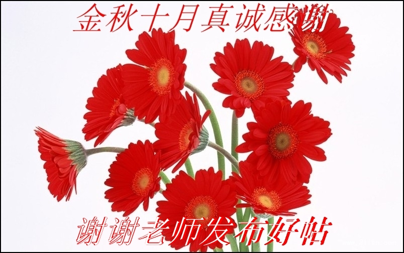 60.jpg