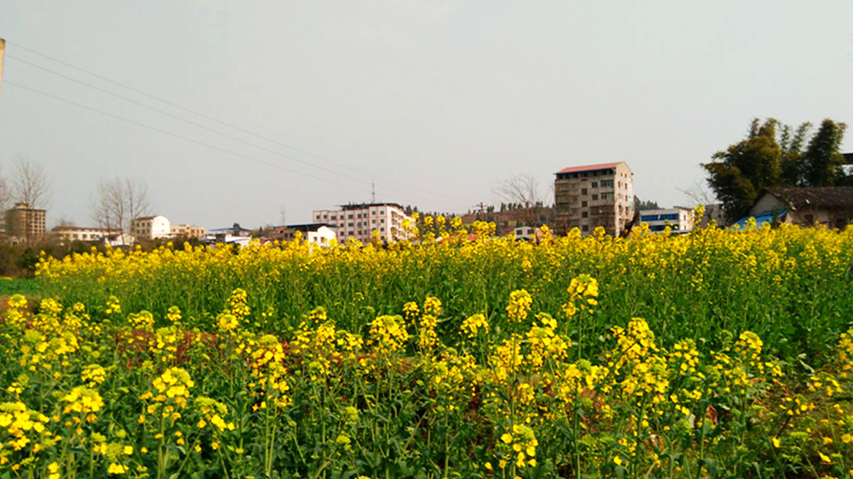 IMG_20160302_133652.jpg