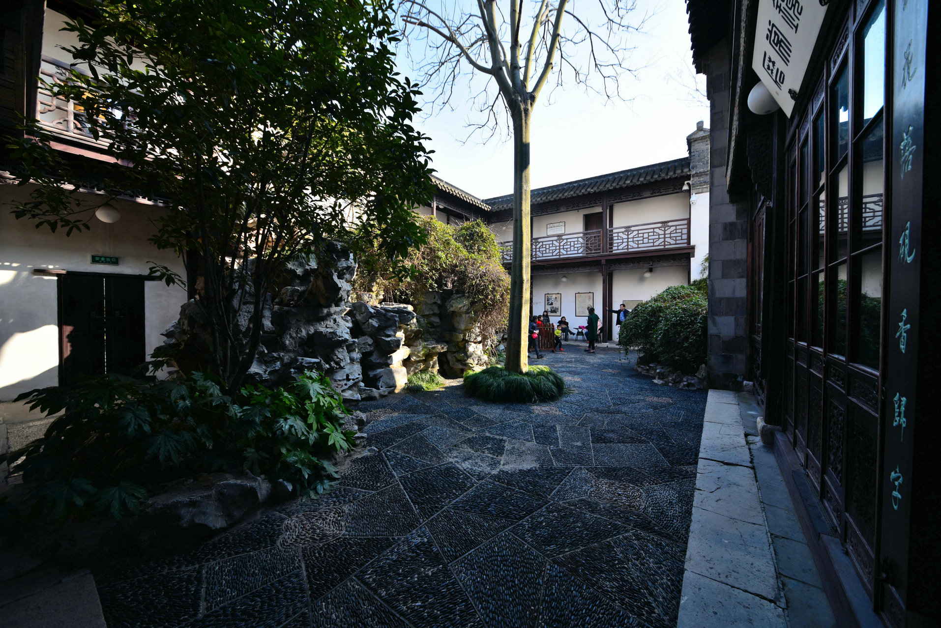 DSC_5026.JPG