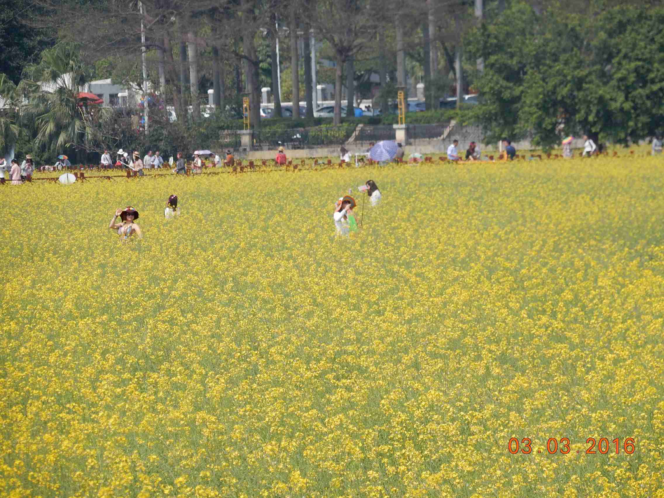 DSCN6019.JPG